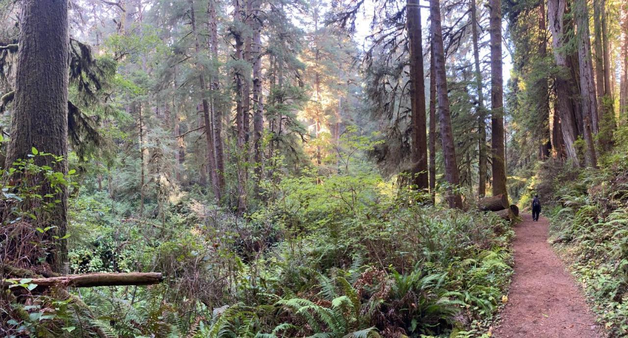 Glamping In The Redwoods With A Hot Tub! Hotel Garberville Exterior photo